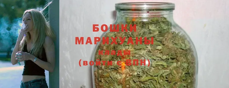 Бошки марихуана Bruce Banner  где продают наркотики  Зима 